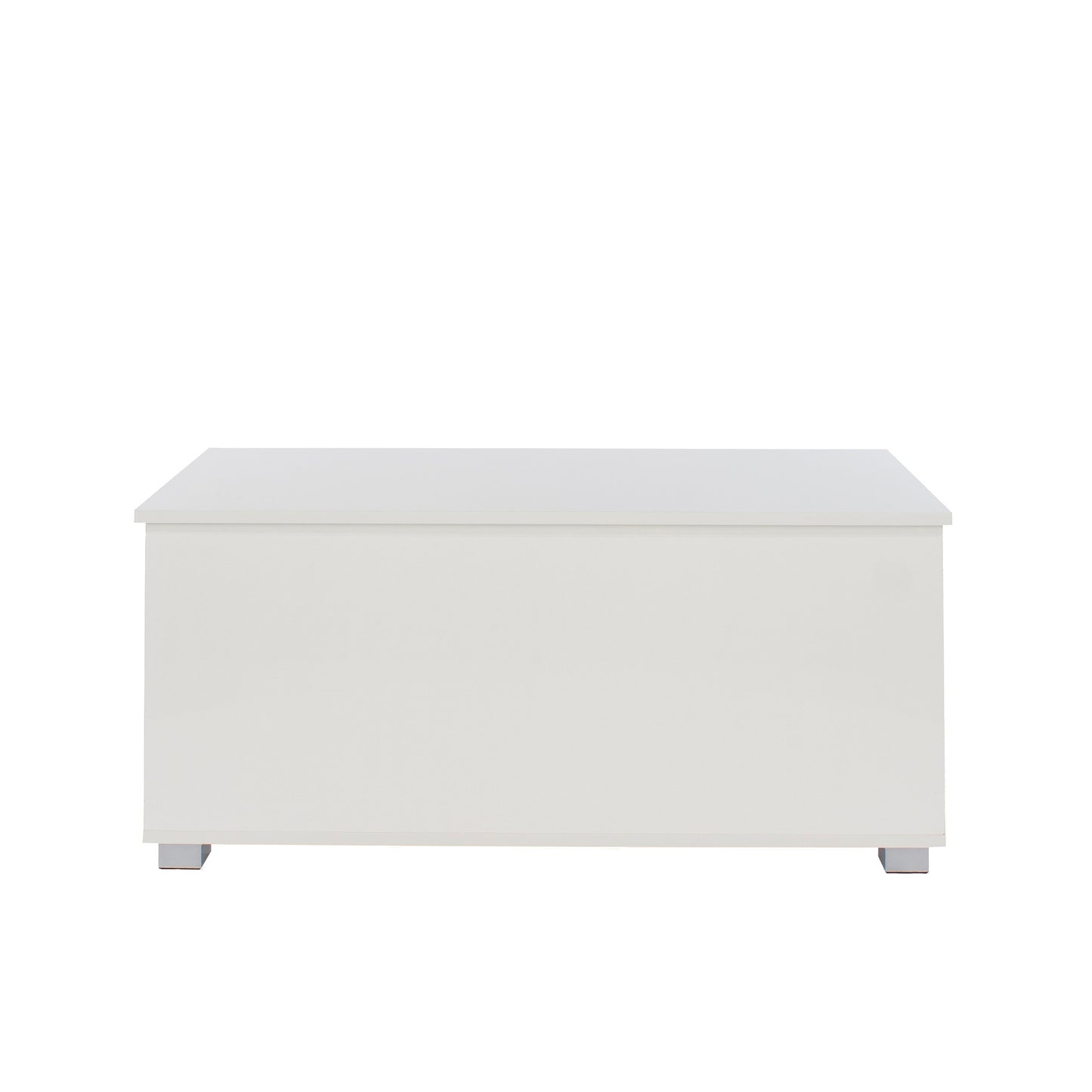 Storage Trunk