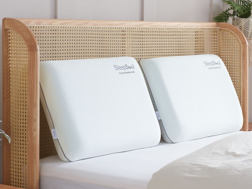 SleepSoul Dual Pillow