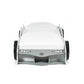 Storm Racer Car Bed